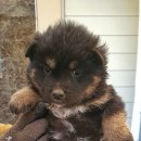 당북초등학교 이미지