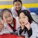 배곧 청록태권도장 이미지