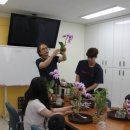 화훼디자인숲