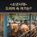 농고목장 이미지