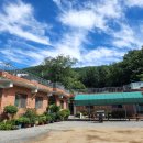 칠곡황학산휴양림 네이버블로그