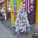 구월2동-13 이미지