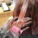 코스모스뷰티 이미지