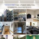 레인보우동물병원 - 영동군 영동황간로 1610 | 이천 강아지 화장터 합리적인 선택으로 만족스러운 이용기