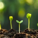 이현초등학교 이미지