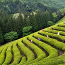 창덕여자고등학교 이미지