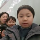 곡성(천안) | 천안 맛집 케이크 생딸기 케이크 유명 카페 디아즈 파티 후기