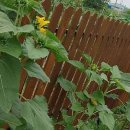 동선농장 이미지