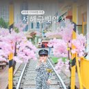 (유)서해고속관광 | 서해금빛열차 군산! 부모님과 국내기차여행 추천