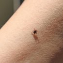 의림지동행정복지센터 이미지