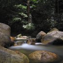 김여사부동산공인중개사사무소 이미지