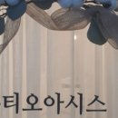 오아시스010