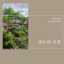 [발리 우붓 파드마 호텔] 파드마 조식 메뉴 사진 가득! 아이와 함께한 후기