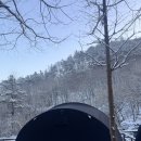 네이처뷰(아)경로당 | 스테이네이처 캠핑장 몰티하우스 맥스 겨울캠핑기록