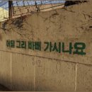 백신세탁소 이미지