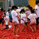 토마토는 과일일까? 채소일까? 이미지