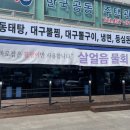 대구탕애힘