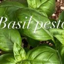 안나농원 이미지