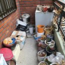 세븐일레븐 대구신당원룸점 | 대구 폐기물처리 업체 신당 법당 정리 철거 이거 모르면 큰일나요