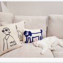 아이조아요양보호소 전남광주점 | 집이 편하다냥~