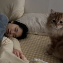 루다컴퍼니
