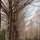 사양제 저수지3 이미지