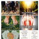 우로지 자연숲 황토길 이미지