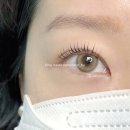 리 래쉬 스튜디오