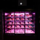 축복한우 이미지