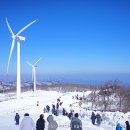 파란하늘목장 이미지