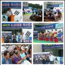 나비야놀자박물관 이미지