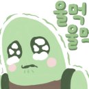 서리풀약국 이미지