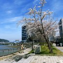 구읍뱃터 | 중산동카페 망고프레쉬 구읍뱃터점 후기