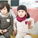 남대문의류 - 청송군 진안남2길 5 | 남대문의류