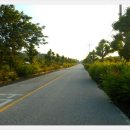 대진초등학교명파분교장 이미지