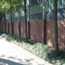 인천서흥초등학교 이미지