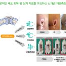 바이오기업에 초대형 거물급 대어~ 초대형 성장을 기대한다 이미지