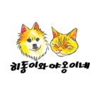 야옹이네 이미지