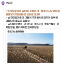 부안 줄포만 노을빛 정원 농구장 | 전북 부안 변산반도 당일여행ㅣ줄포만 갯벌 생태관(줄포만 갈대밭) 줄포만 노을빛정원ㅣ 테마캠프 버스...