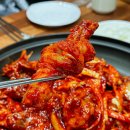 군계폐계닭 이미지