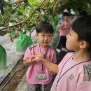 이레농장 2 이미지