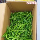 경진상회 이미지