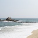 미식초두부 네이버블로그