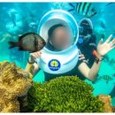 섬과 하루 이미지