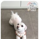 경희궁바른동물병원 이미지