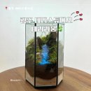 (원데이) 나만의 작은 숲, 테라리움 | 광주 테라리움 데라스튜디오 원데이클래스 후기