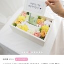 마즈영
