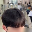 [은평 우리동네배움터] 나만의 취향을 찾는 커피 여행 | 연신내 미용실 추천, 남자펌 잘 하는 준오헤어 연신내점 (+ 누리디자이너님 아이롱펌 후기)