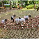 참사랑어린이집 | 춘의동어린이집 아이들의 웃음이 끊이지 않는 사랑숲 어린이집 후기