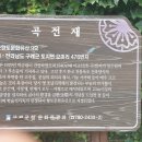 금환낙지